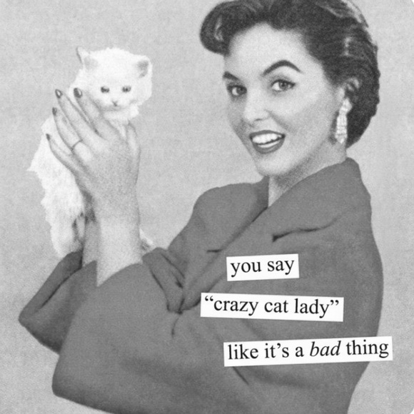 CRAZY CAT LADY FOR LIFE! 🐈🐈🐈🐈 - Picture 1 of 8